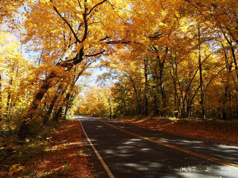 Autumn_01_1000
