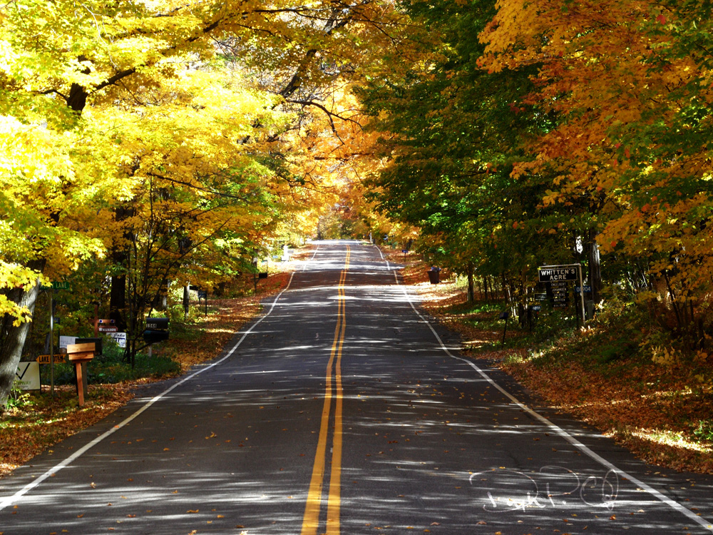Autumn_03_1000