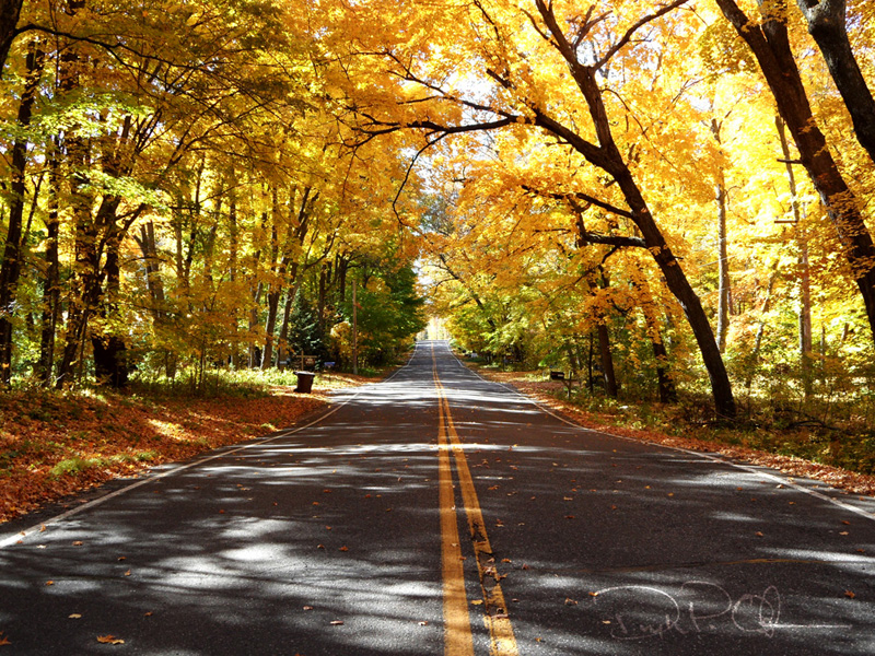 Autumn_05_1000