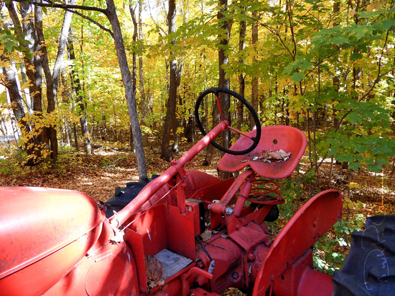 Autumn_06_1000