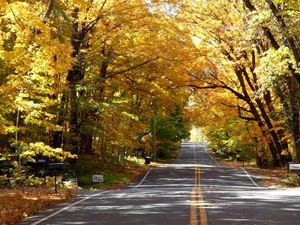 Autumn