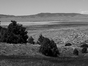 Martin’s Cove
